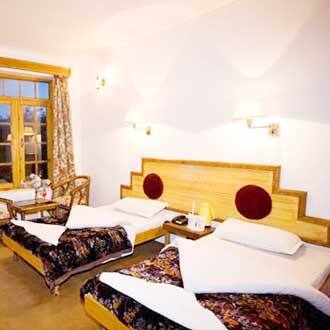Hotel Singge Palace, Leh 2